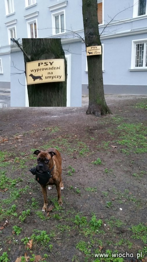 Jak obejść przepisy osiedlowe?