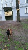 Jak obejść przepisy osiedlowe?