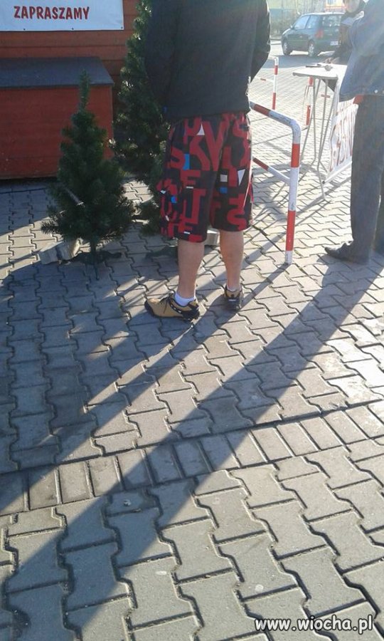 23 grudnia, koleś kupuje choinkę 