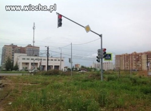 Światła na łące