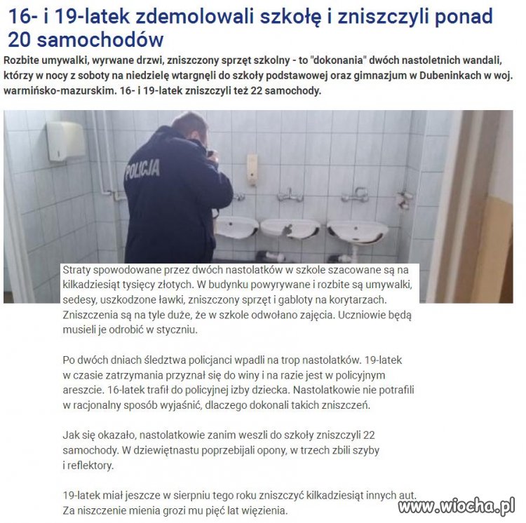 16 i 19 latek zdemolowali szkołę .