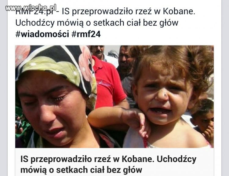 Putin ma rację trzeba wybić do nogi ISIS.