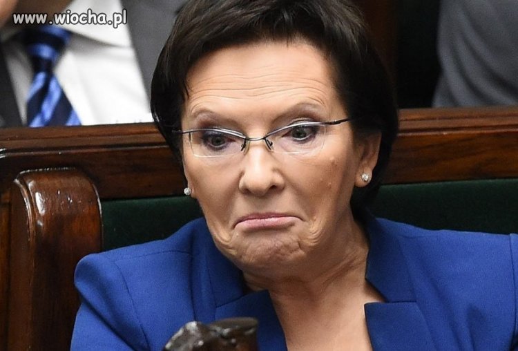 Czy ktoś widział, czy ktoś słyszał tą panią