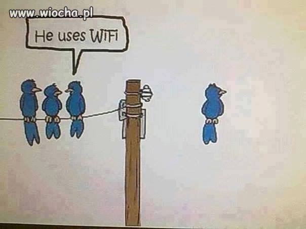 Cuda WIFI 