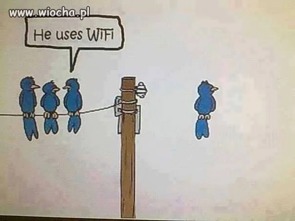 Cuda WIFI 