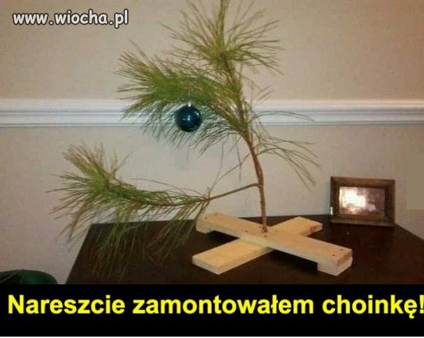 Choinkę mam, tylko na święta czekać. 