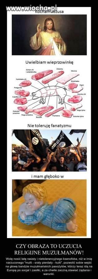 Wiocha w polityce UE. 