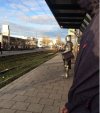 Gdy jesteś spóźniony do pracy o 500 lat
