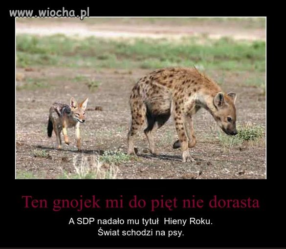 Lekko zoologiczne