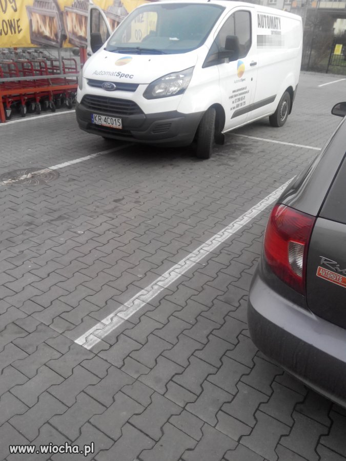 Mistrz parkowania poziom master