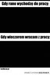Ciemność widzę 