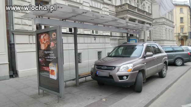 Mistrz parkowania