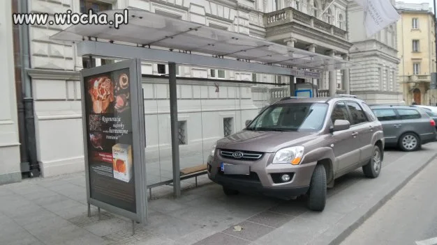 Mistrz parkowania