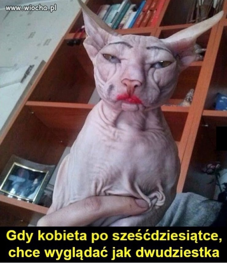 Coś w tym...