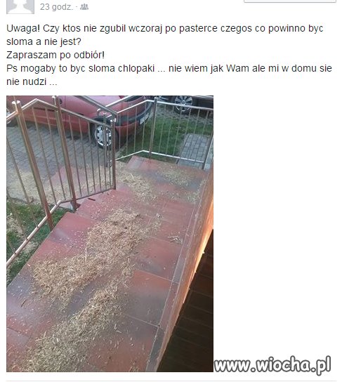 Zguba