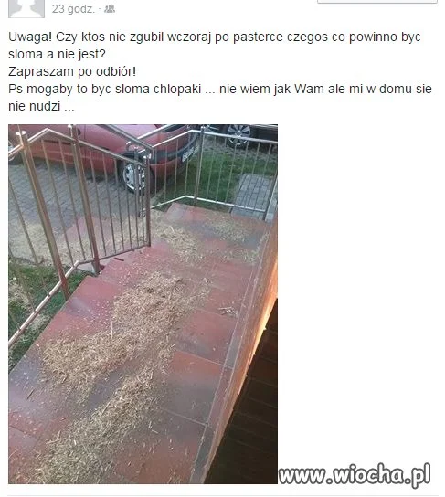 Zguba
