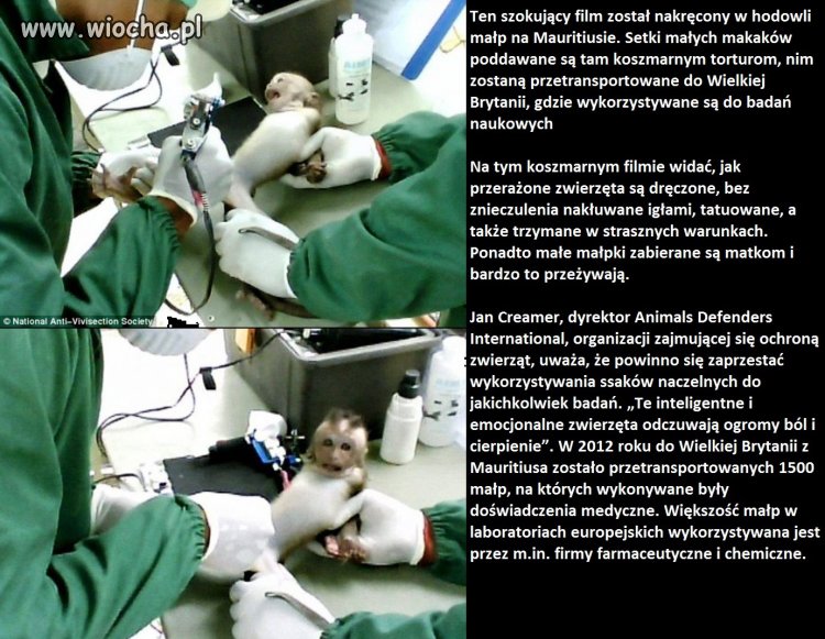 Smutne ale prawdziwe