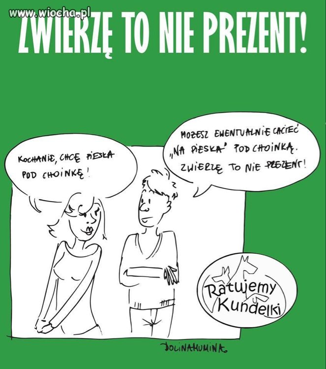 Zwierzę