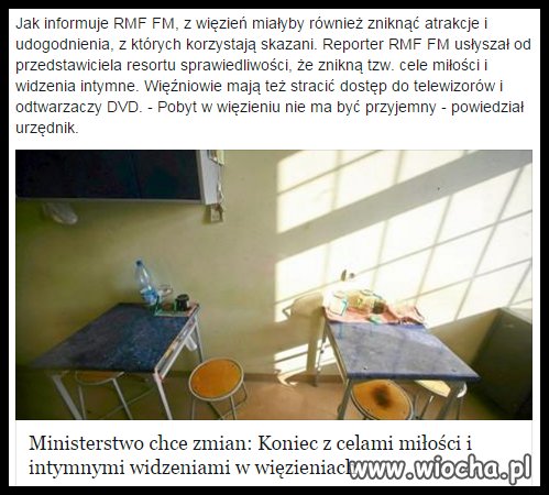 No to przyszłe parówy (choć o tym nie wiedzą 