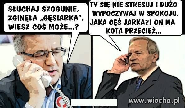 Pomocy Szogunie...