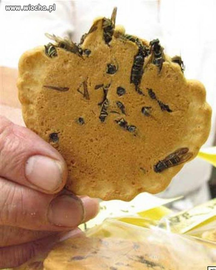 Ciasteczko