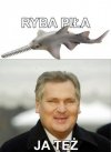 Ryba piła