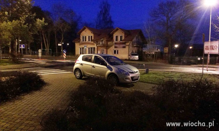 Mistrz parkowania