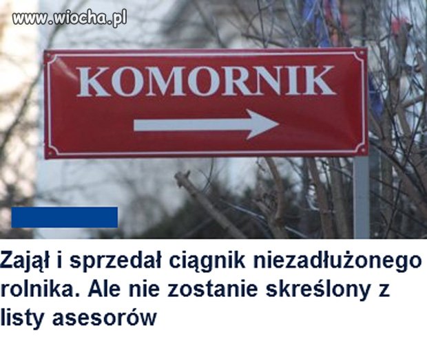 A później marsze, rozpacz i darcie szat, 