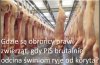 Nie obrażając świń.