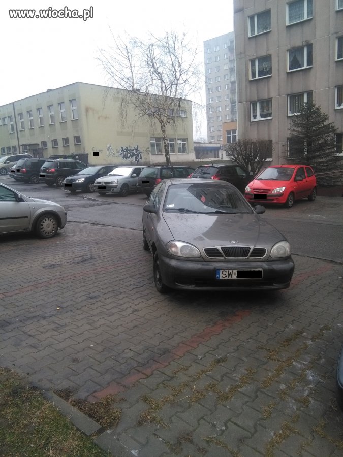Mistrz parkowania