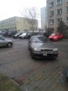 Mistrz parkowania