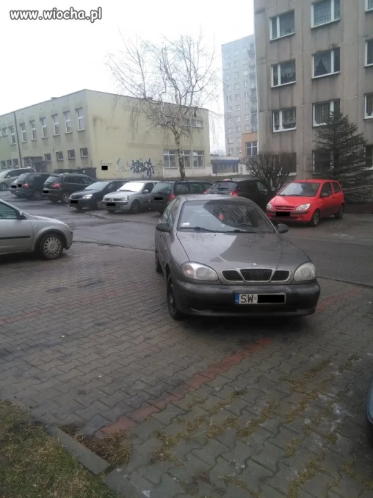 Mistrz parkowania