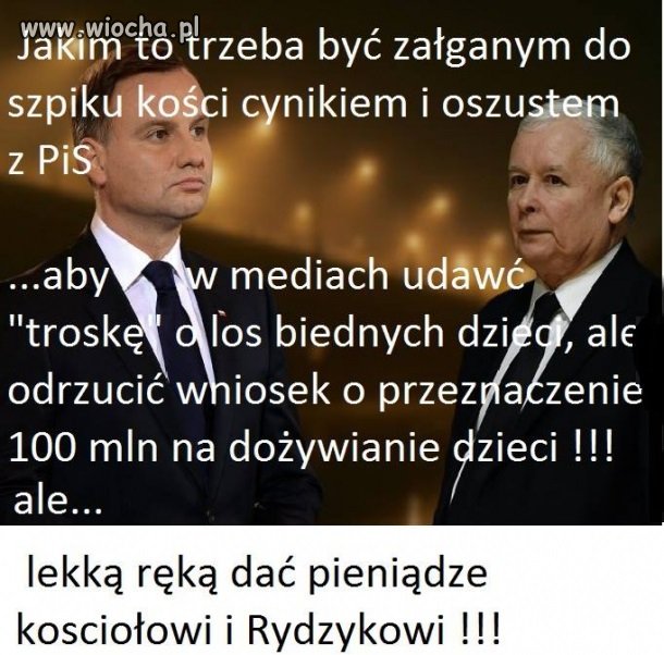 PiS w pigułce.