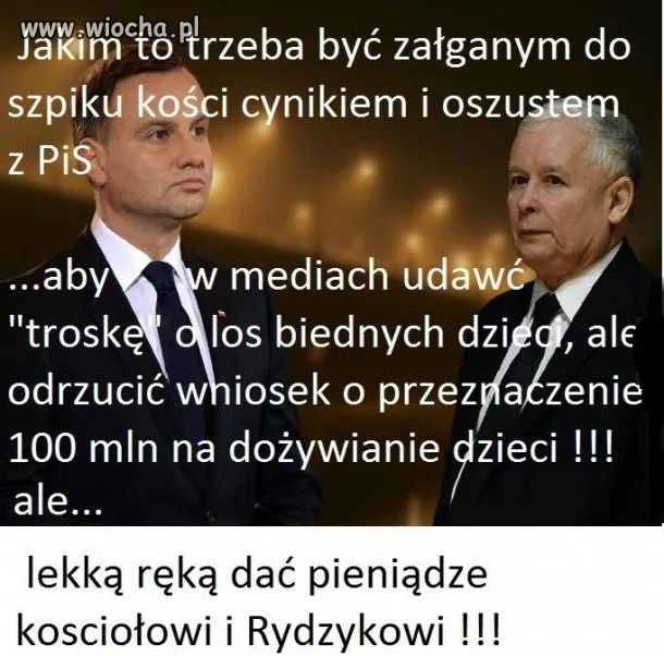 PiS w pigułce.