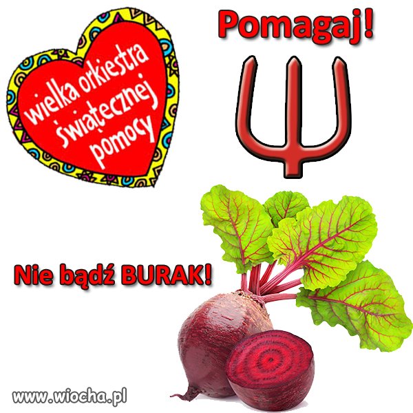 Warto pomagać