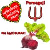 Warto pomagać