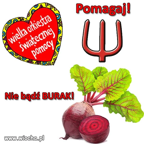 Warto pomagać