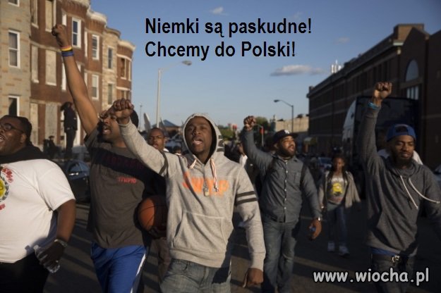 Chyba sylwester w Kolonii ...