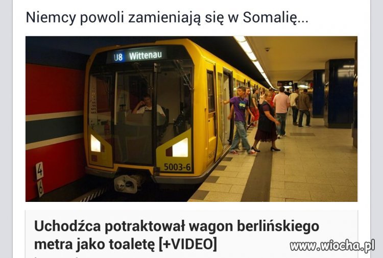 Imigranci srają i leją gdzie popadnie.