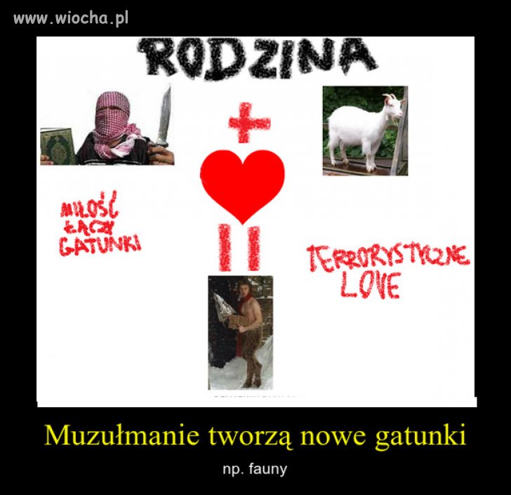 Kochać to nie znaczy...