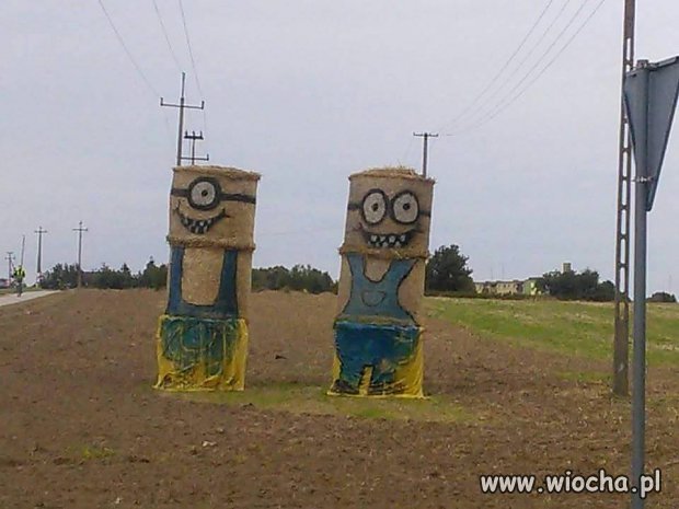 Minionki w Rosji