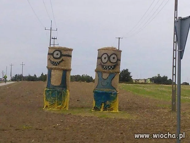 Minionki w Rosji