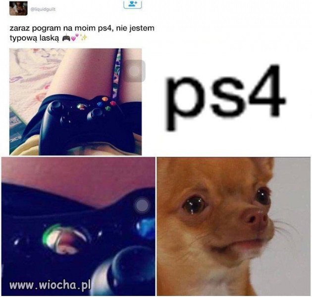 Logika kobiet