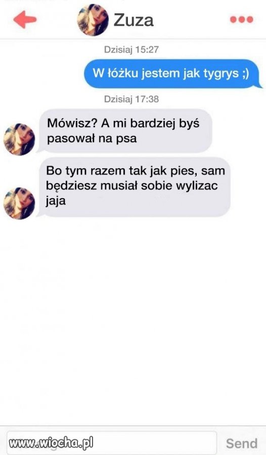 Mistrz podrywu