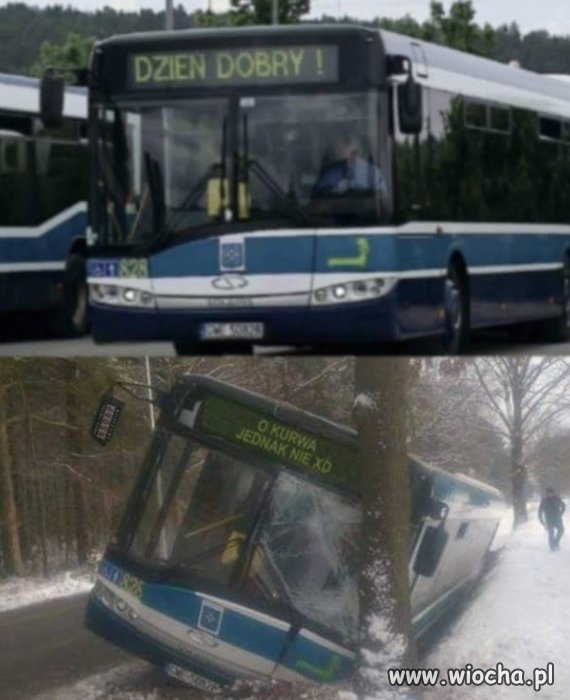 Kierowca z poczuciem humoru.