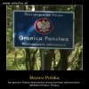 Brawo