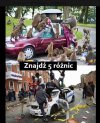 Małpy robią mnie szkody od imigrantów.
