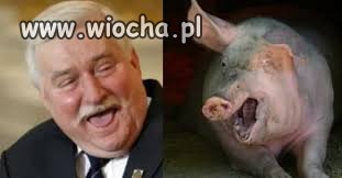 Duże podobieństwo