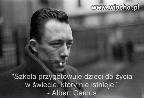 "Wydałeś sto pięćdziesiąt tysięcy na wiedzę