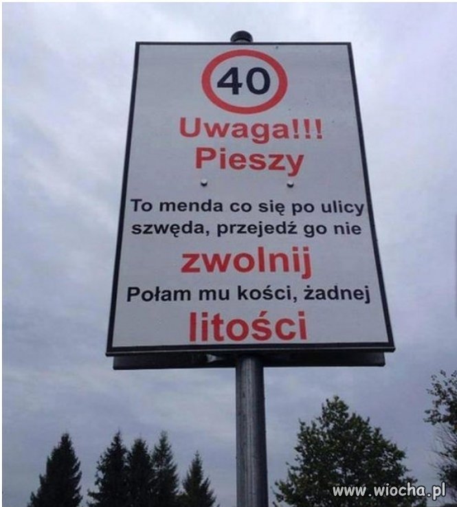 Pieszy to menda 